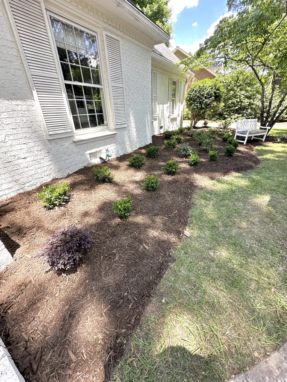 Fresh shrubs and pine straw in a curved bed beside a white brick home